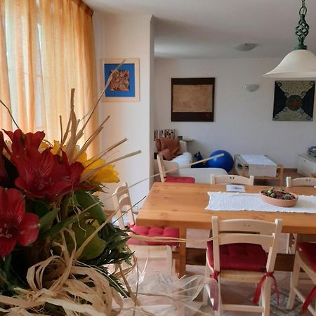 San Marcello Residence Feltre Buitenkant foto