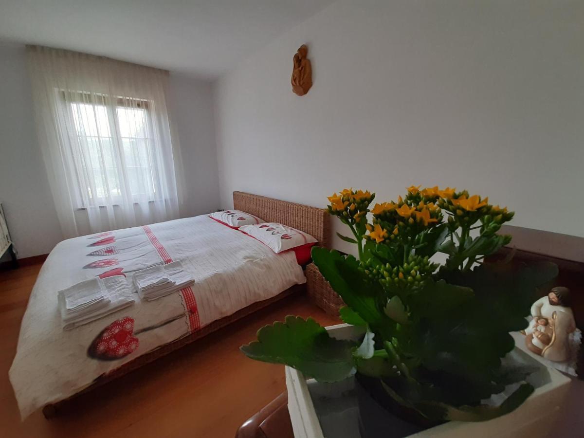 San Marcello Residence Feltre Buitenkant foto