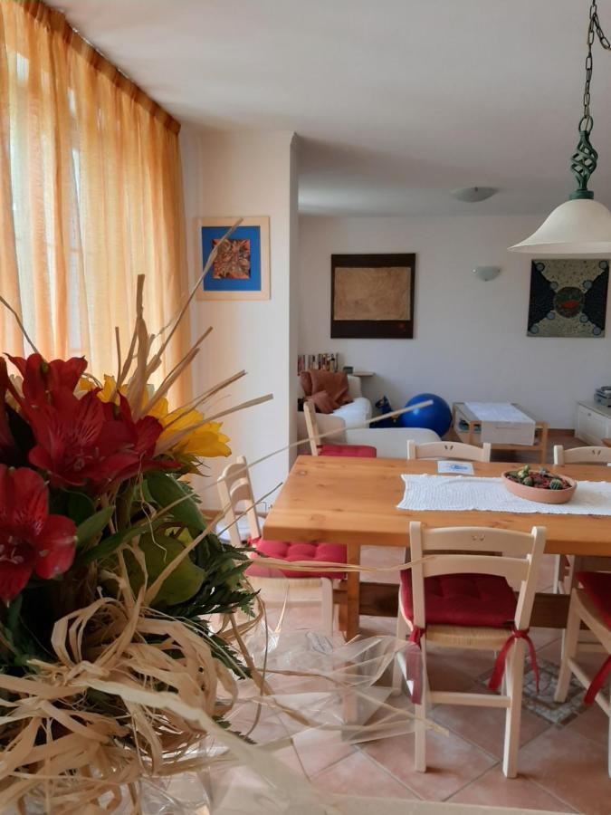 San Marcello Residence Feltre Buitenkant foto
