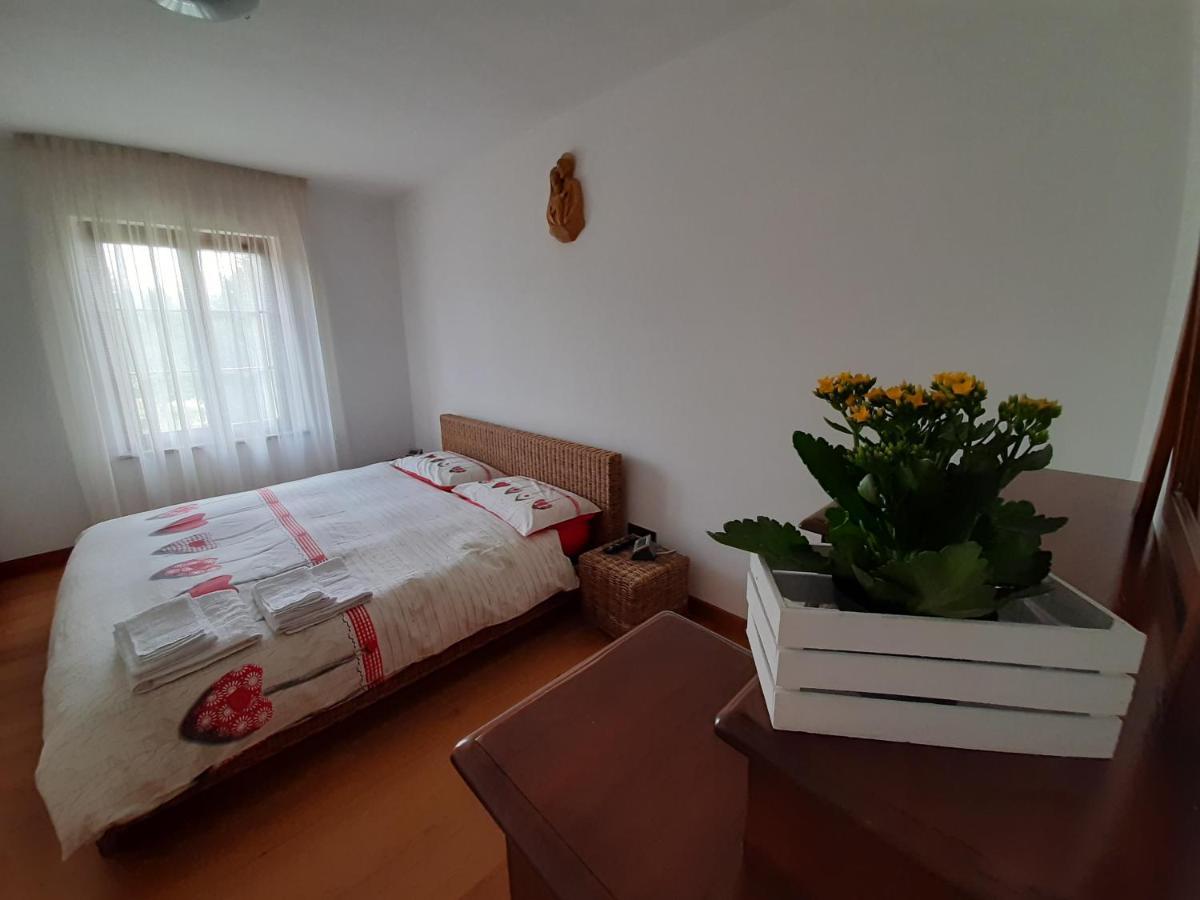 San Marcello Residence Feltre Buitenkant foto