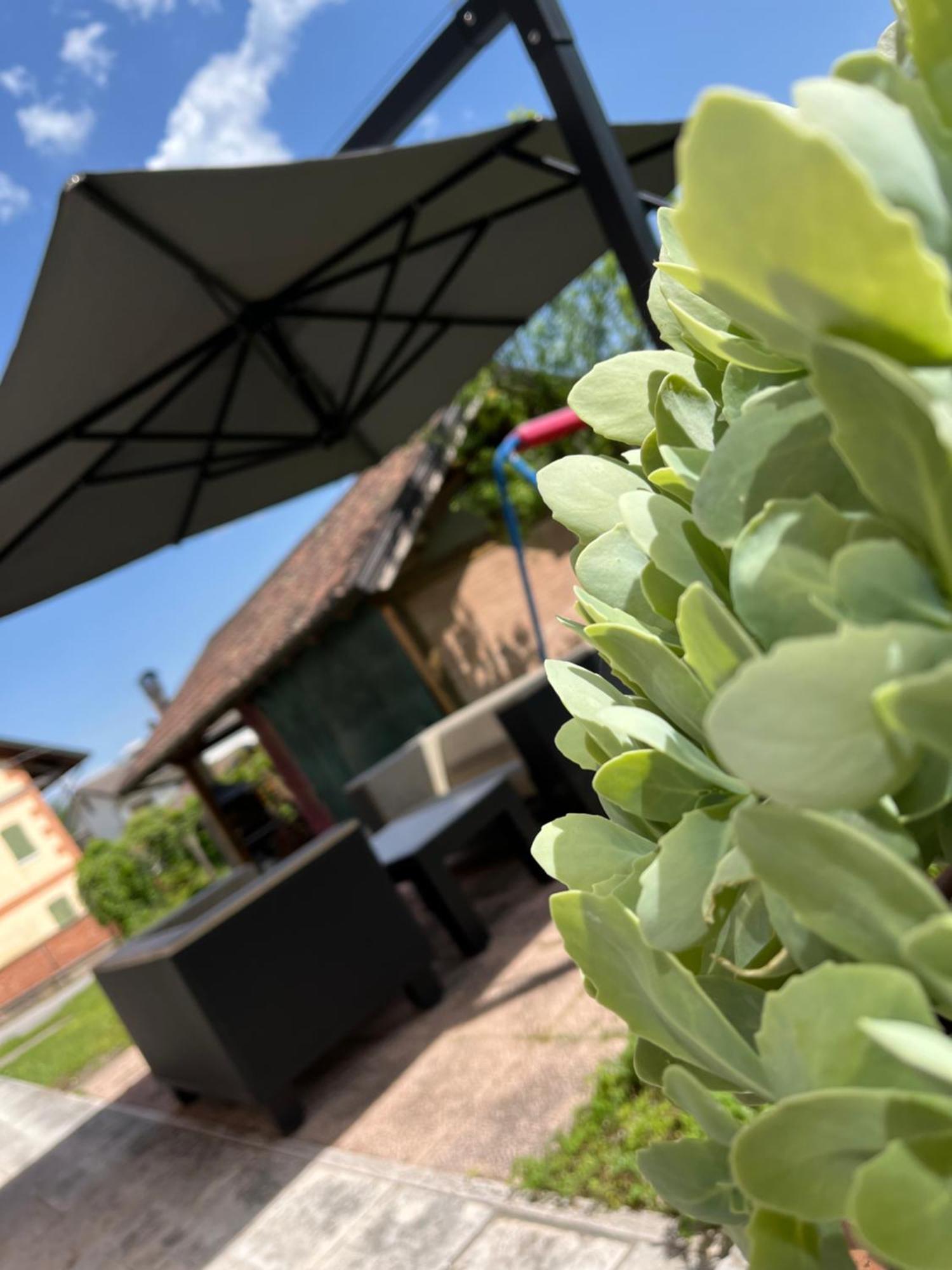 San Marcello Residence Feltre Buitenkant foto